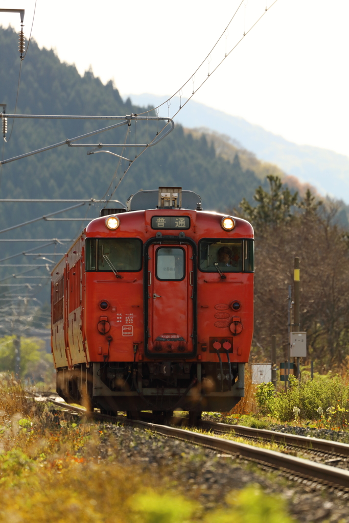 未来から過去へ