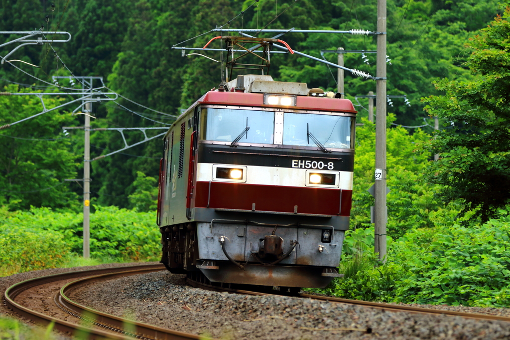 新緑の季節 EH500