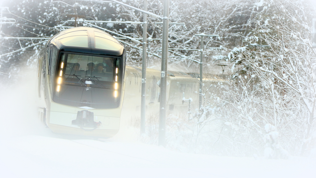 TRAIN SUITE 四季島 V