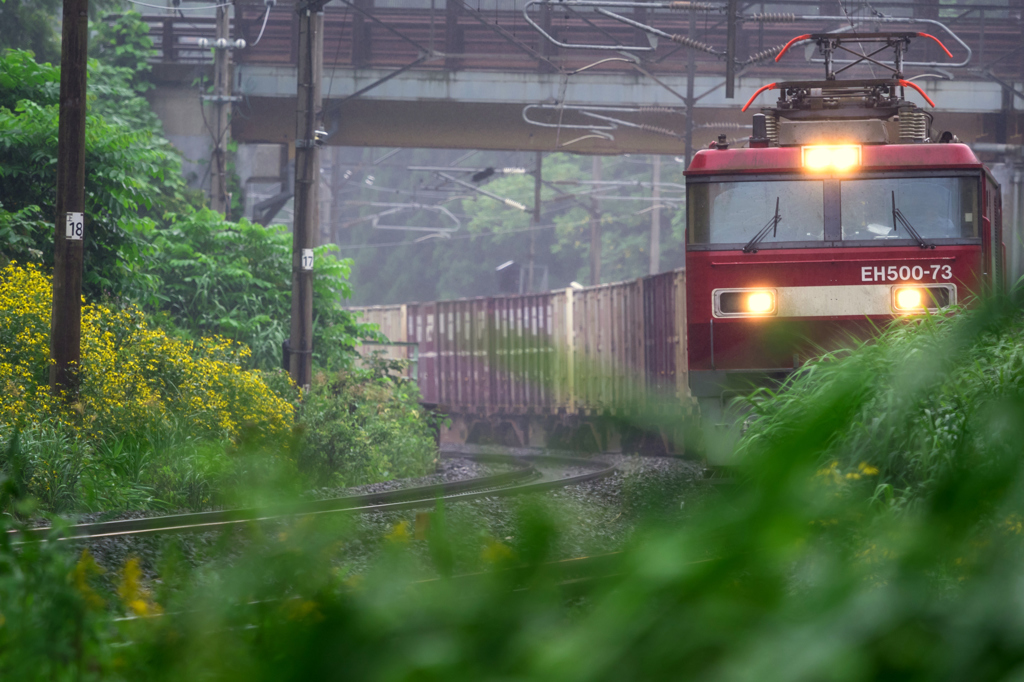 雨の休日 VIII