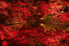 弘前公園の秋2022 II
