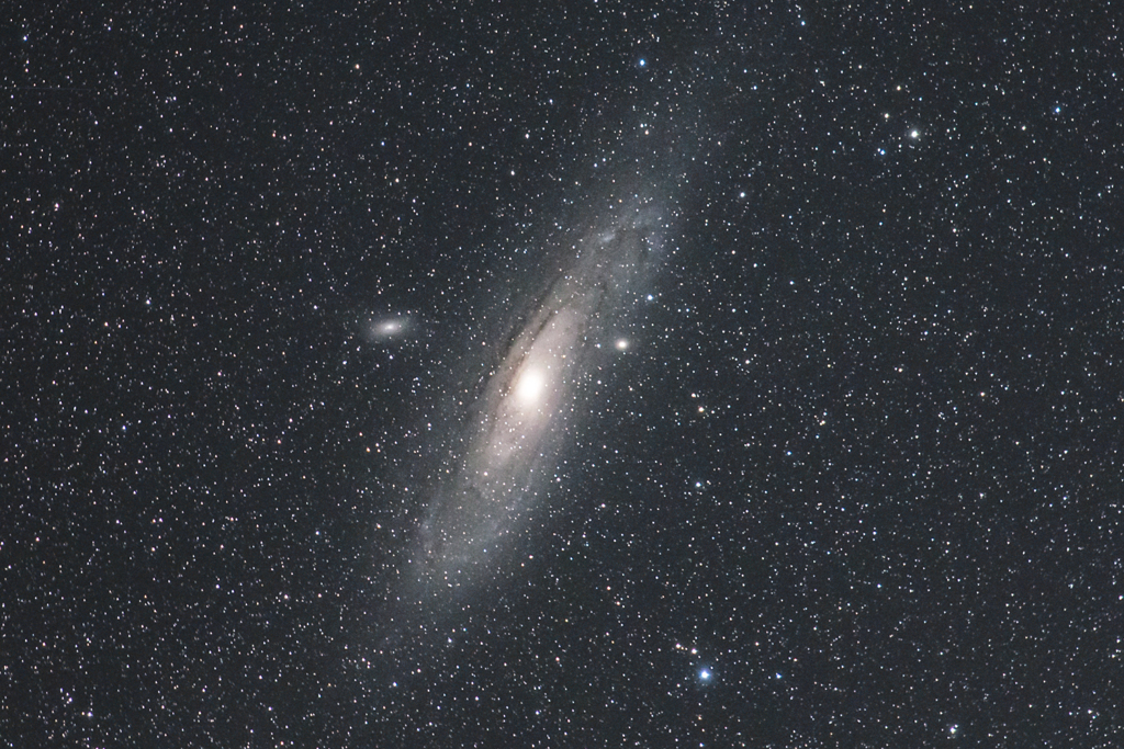 M31