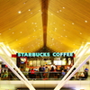 STARBUCKS COFFEE