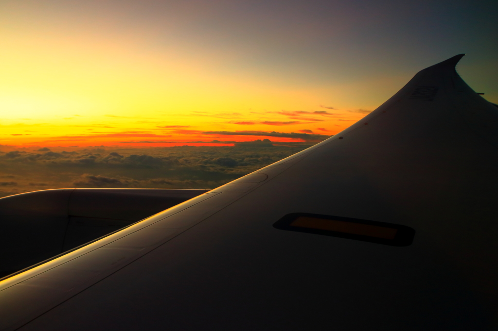 ７８７の翼