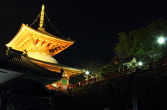 夜の中山寺　大願塔