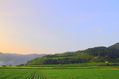 大切な近場の景色