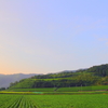 大切な近場の景色