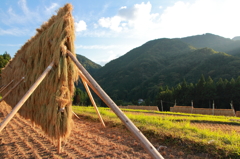 心を満たす、あの頃の景色