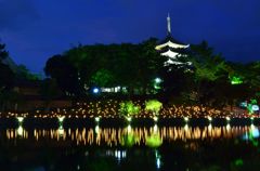 奈良　燈火会