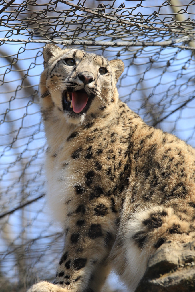 多摩動物公園 