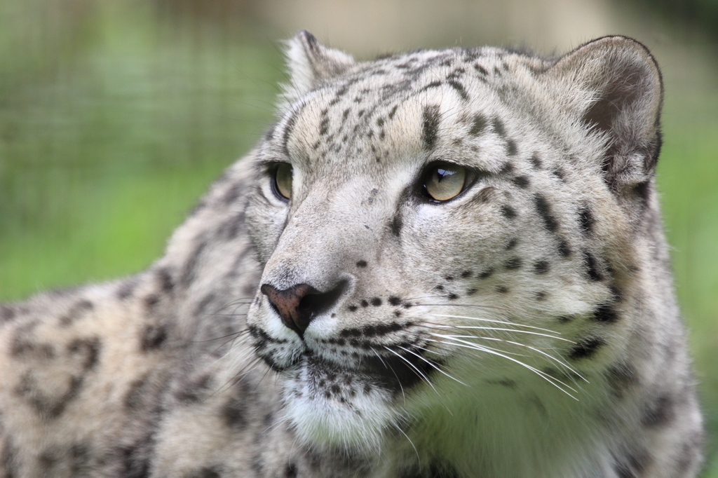 多摩動物公園 