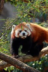 多摩動物公園 