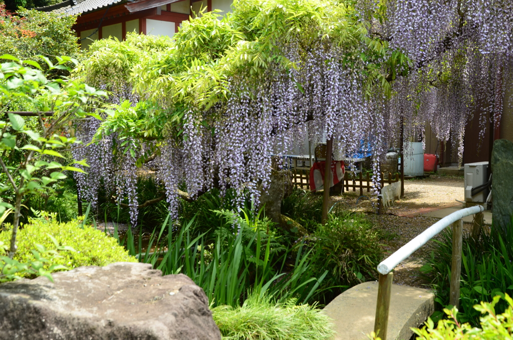 竜頭寺２