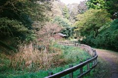 田舎道