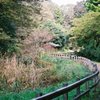 田舎道