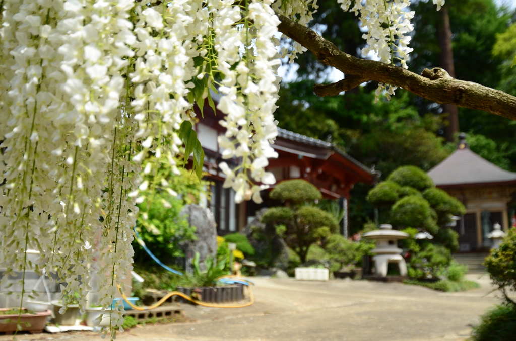竜頭寺１