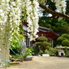 竜頭寺１