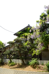 民家