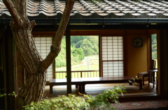 小さな美術館の庭先から