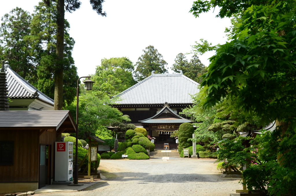 日本寺１