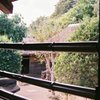 庄屋の家からの眺め