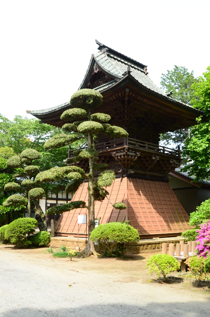 日本寺２