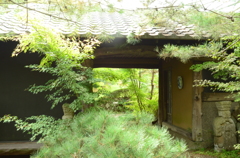 小さな美術館の庭先から２