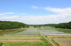 ず～っと先まで・・・