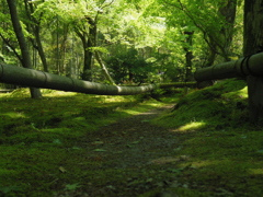 道