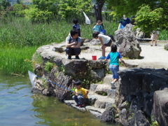 釣れるかな