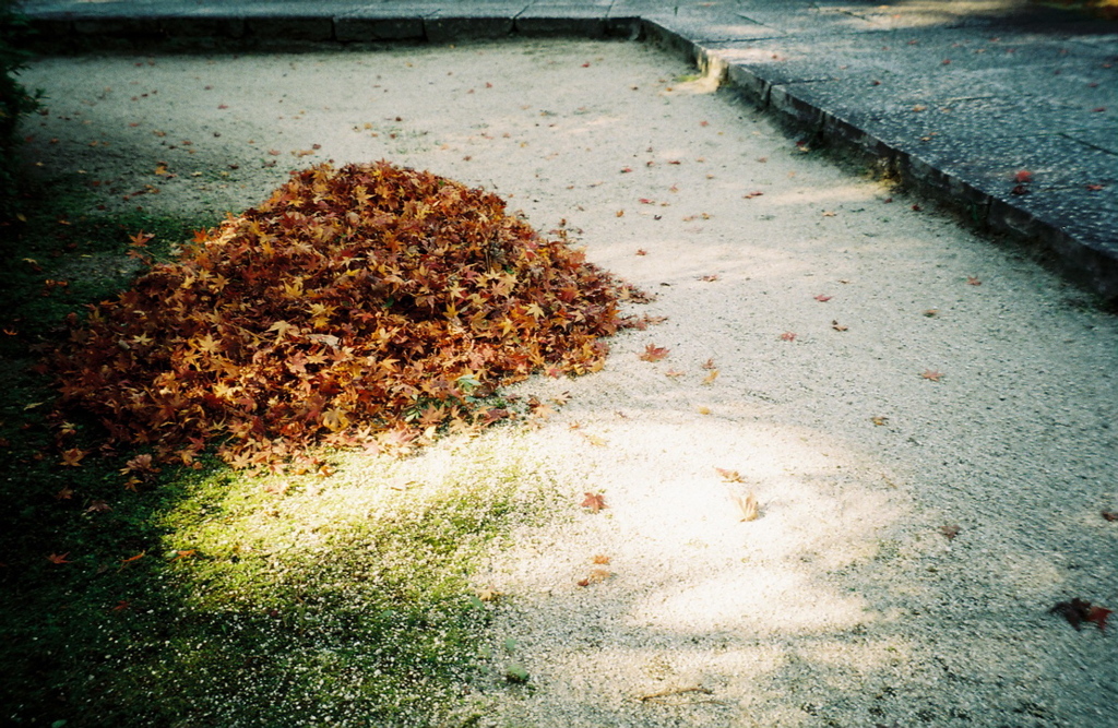 紅葉散歩②、寺院 (film)
