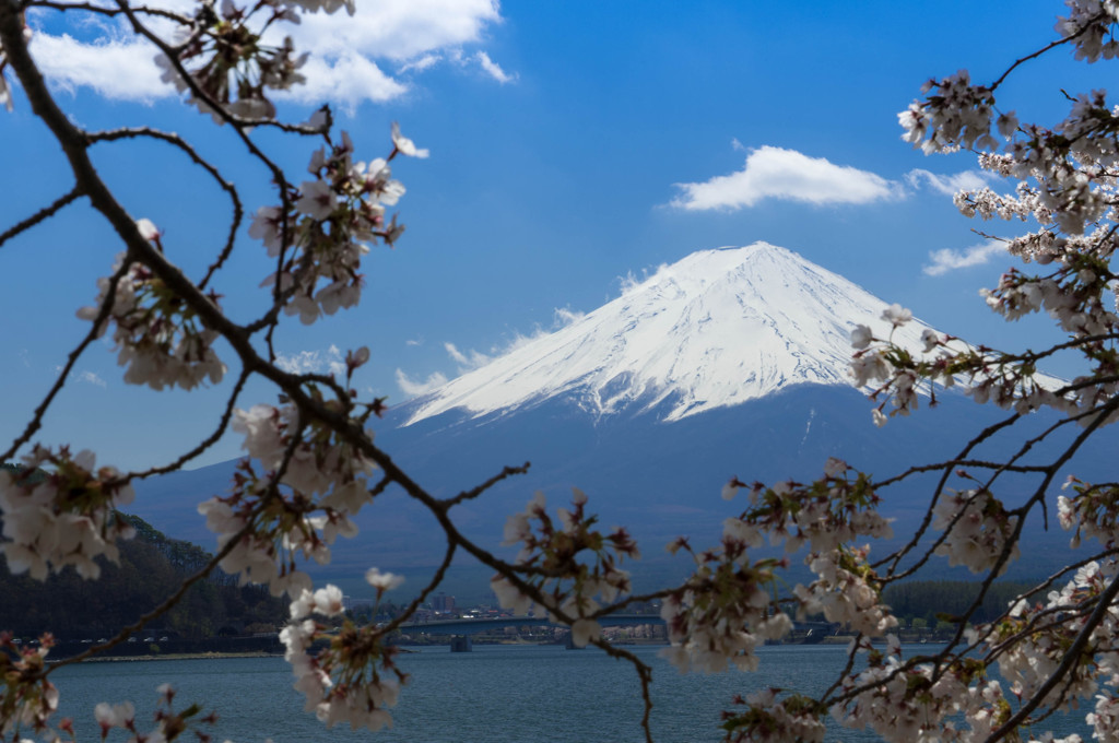 富士山