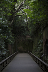 横須賀　猿島