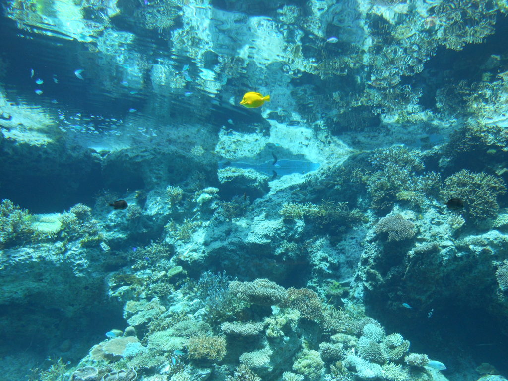 nikon picture 170