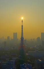 東京タワーに日が灯る
