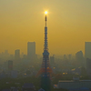 東京タワーに日が灯る