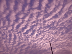 秋の雲～巻積雲