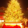 金色のクリスマス