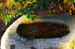 神社にて