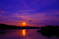 Purple Sunset