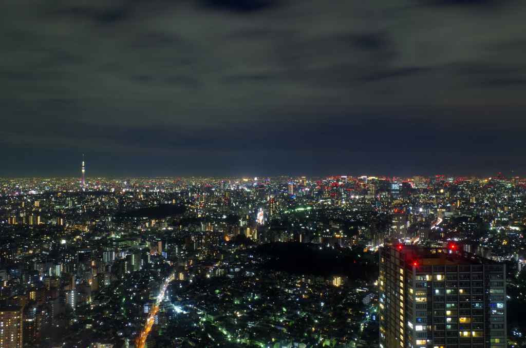 Skytree and Tokyo nightscape