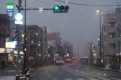 東京雪道路