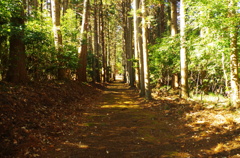 神社へ