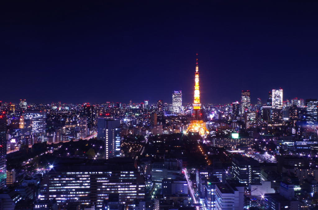 December Tokyo Tower