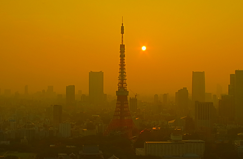 東京にもあったんだ