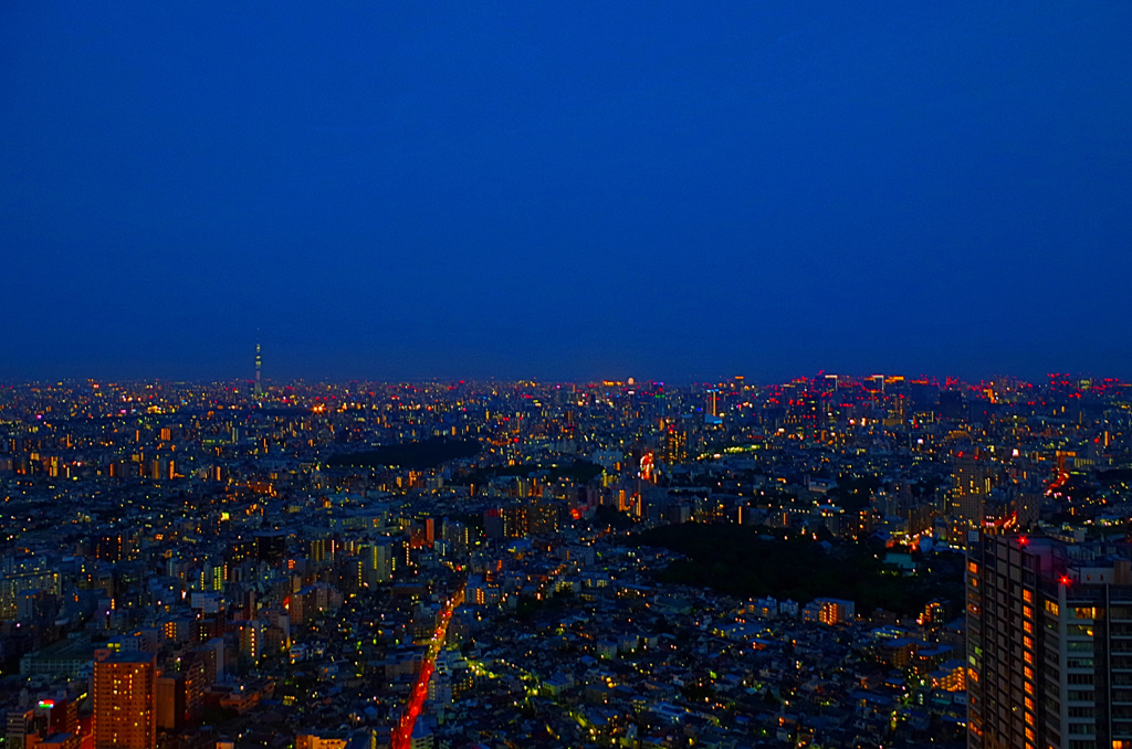 メトロポリタン東京―　池袋　その１