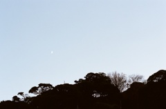 crescent moon