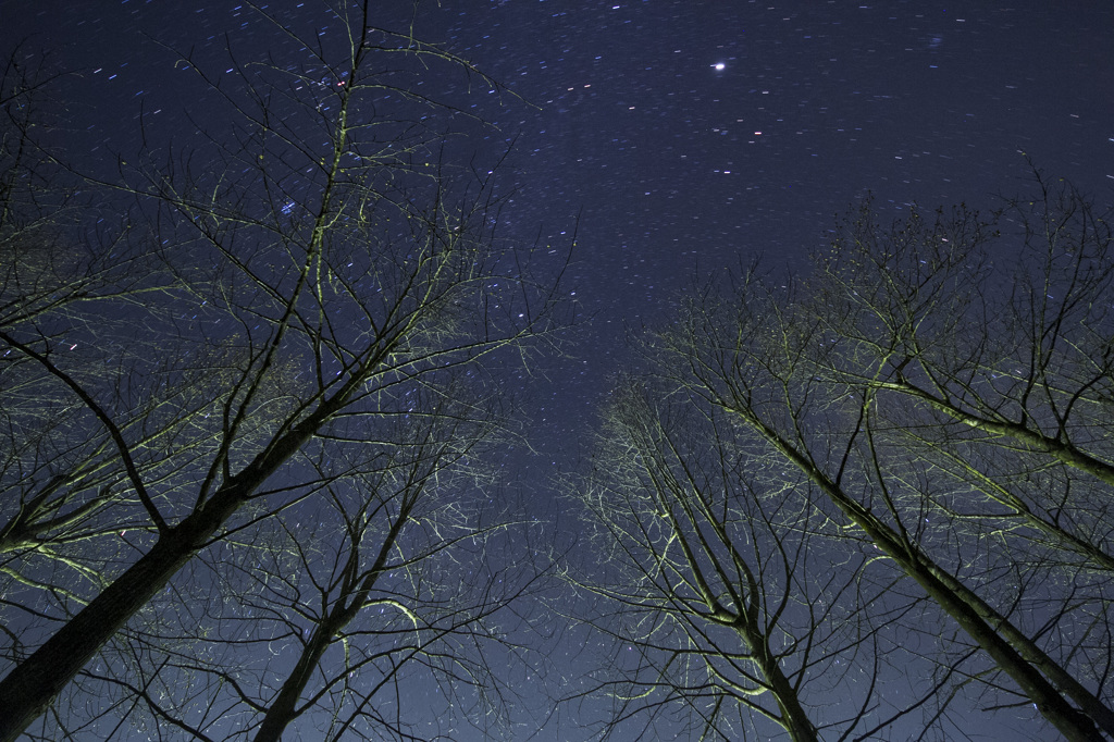 The beginning of winter #3