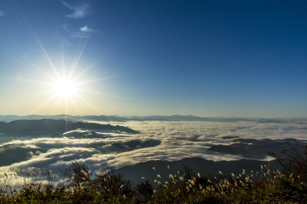 Sea of ​​clouds