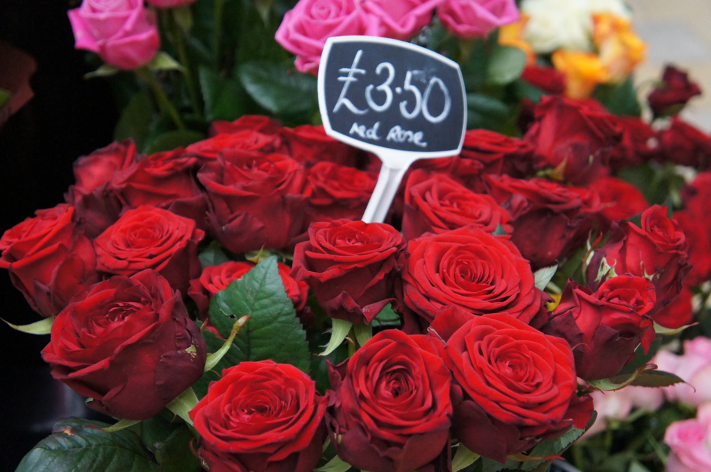 Roses
